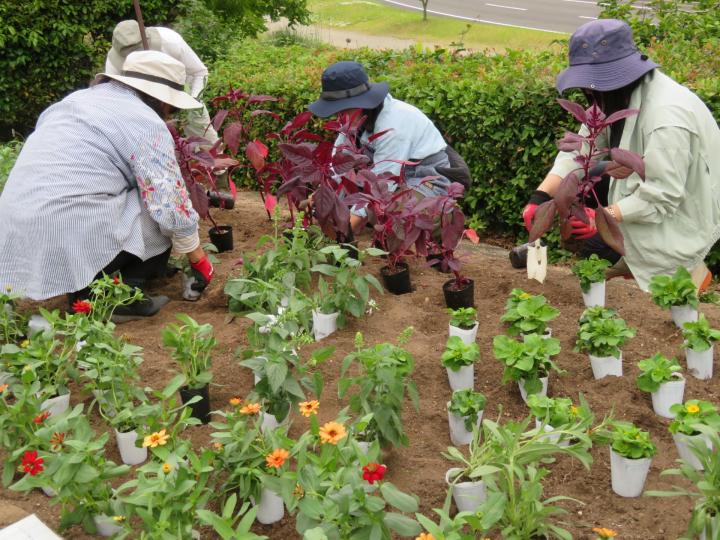景観園芸リーダーのための植物の育て方・デザイン体験講座