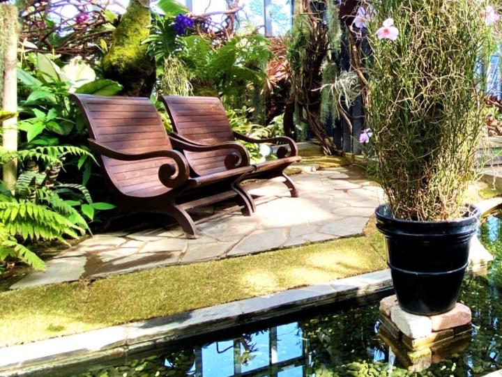 植物との関わりによる健康づくり～園芸療法講座～