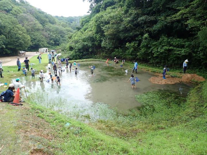 あわじ石の寝屋緑地のいきもの展