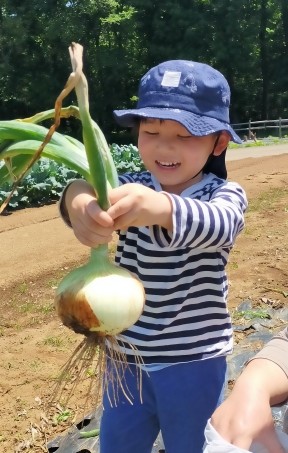 御食国の産地と伝統をバスで巡る「ぐるっと淡路島」