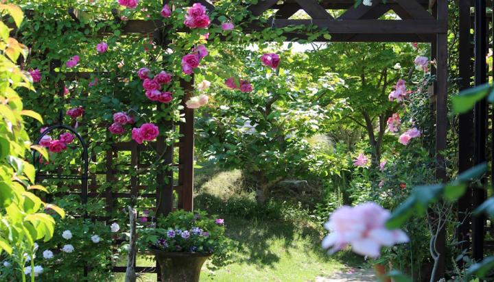 オープンガーデンがつなぐ花と緑のまちづくりフォーラム