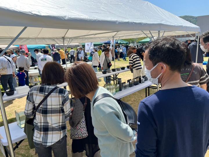 淡路島がいな祭2025