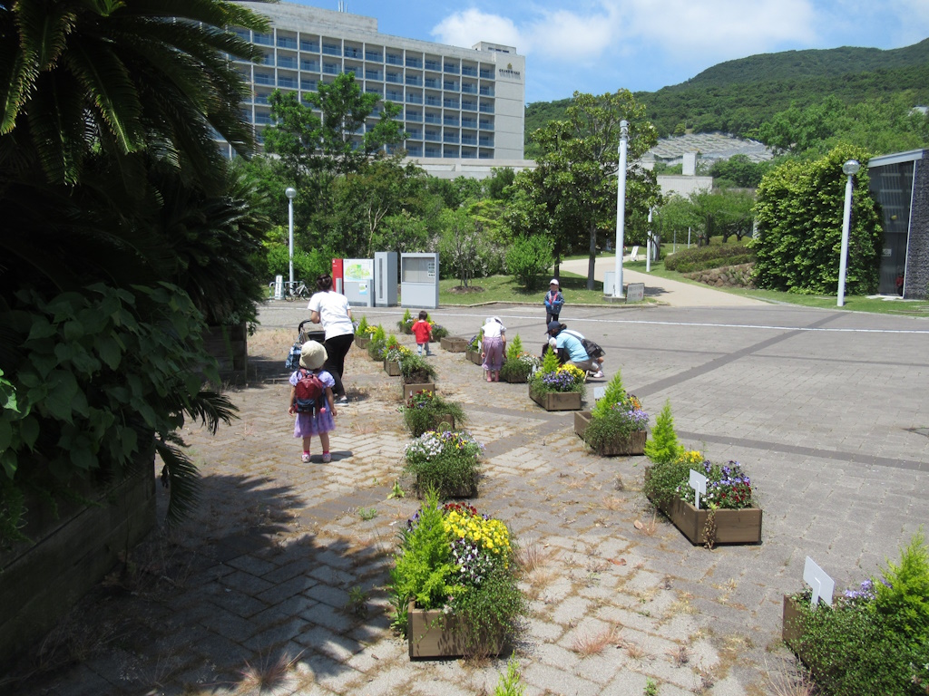 家族で楽しむ寄せ植え体験・作品展示