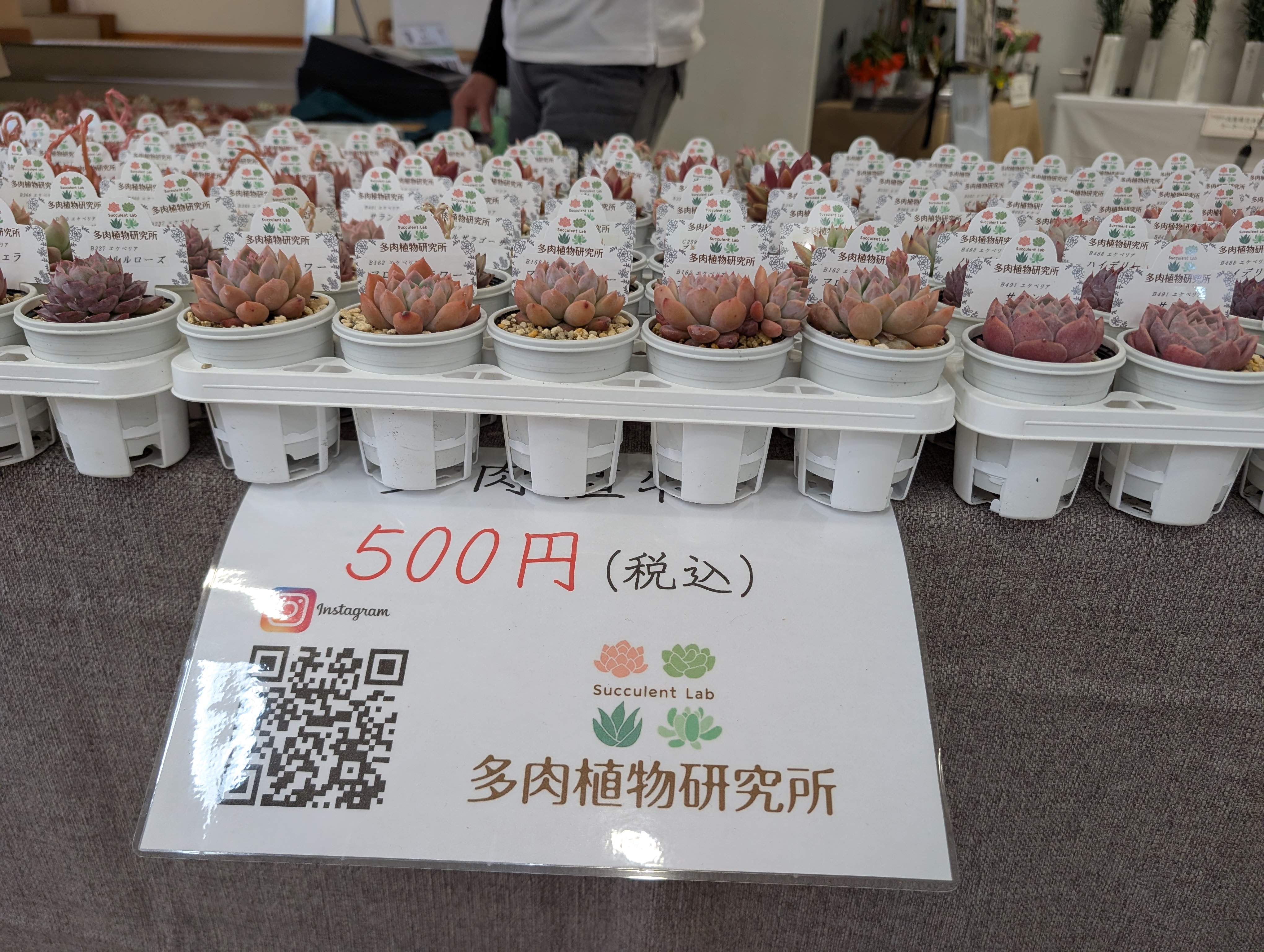 ひょうごの花卉PR展示(花卉の販売)