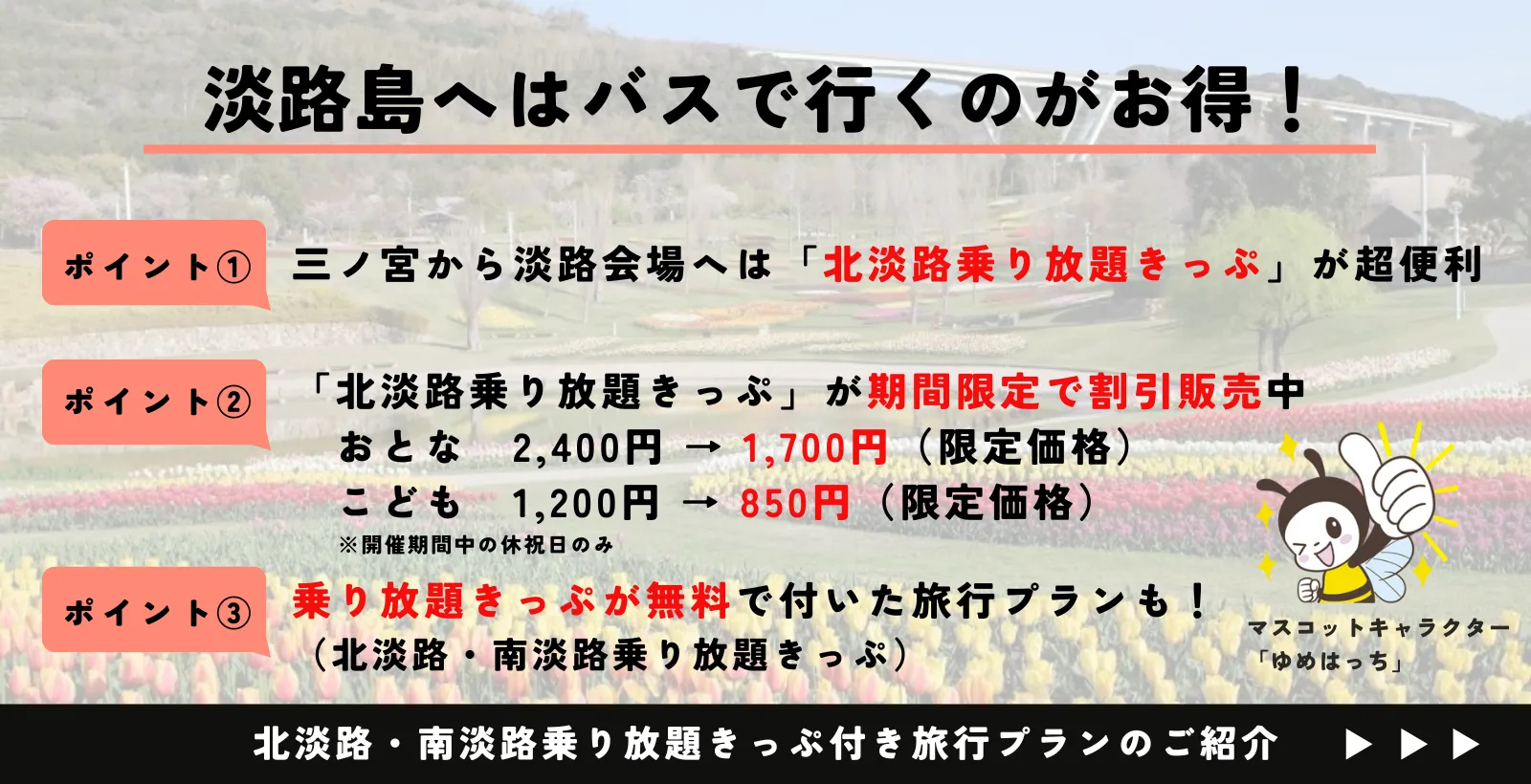バス乗り放題きっぷ・旅行プラン