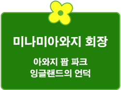 미나미아와지 회장